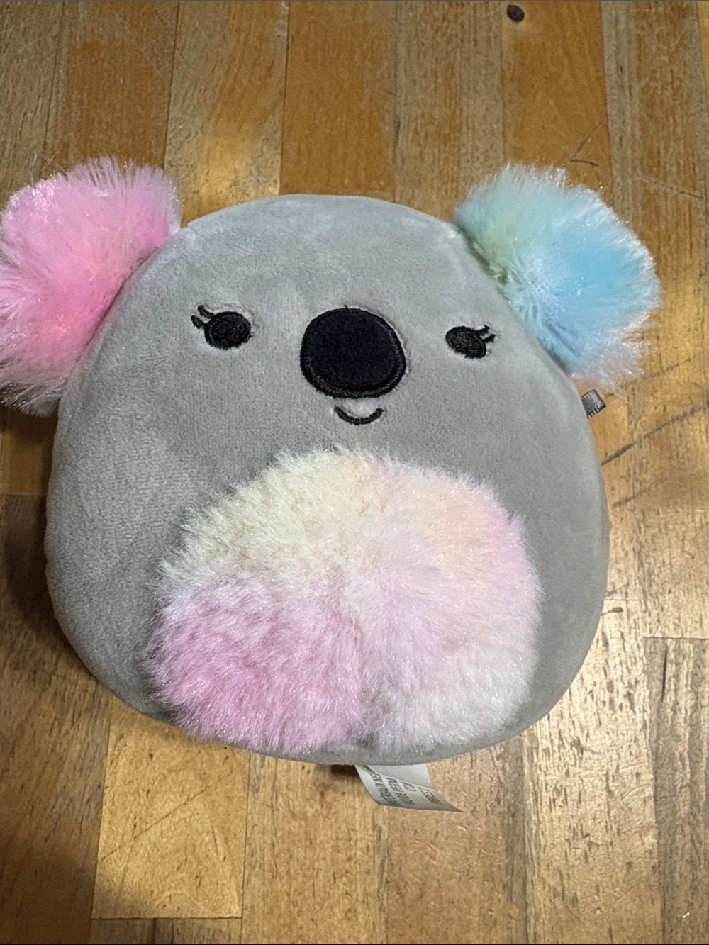 Squishmallow 5” Kelina the Koala